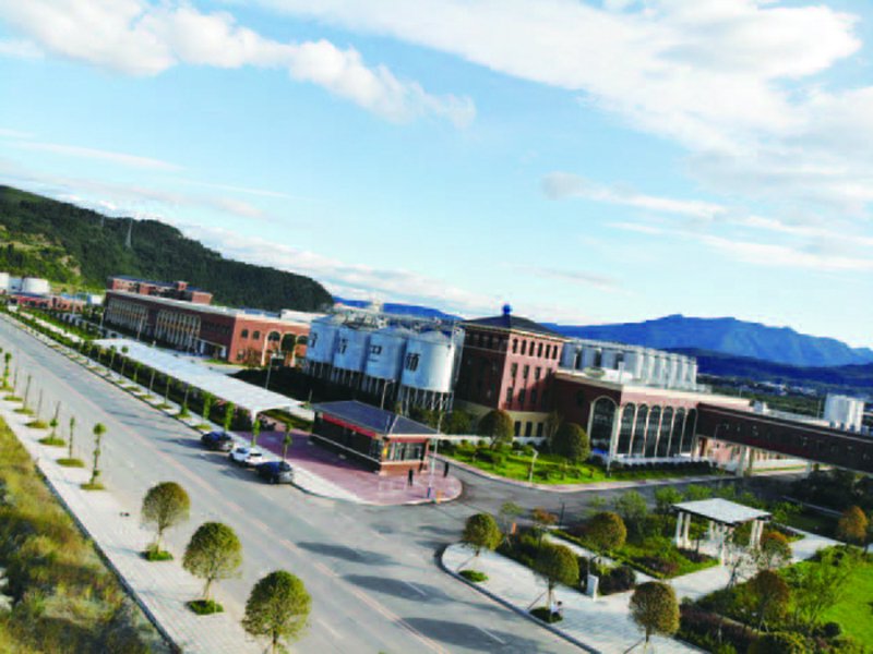 广元网站建设:助力企业数字化转型的利器